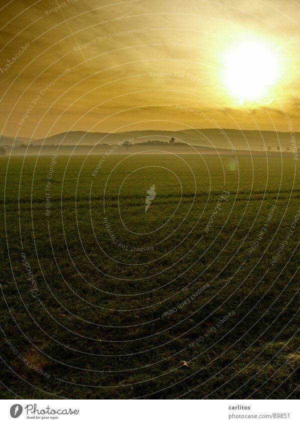 Landeikitsch, die 250te .. Morgennebel Nebel Wiese Zaun Dunst Wolken Farblosigkeit Licht Gras Nebelschleier Hoffnung Tatendrang Schleier Sonnenaufgang grün