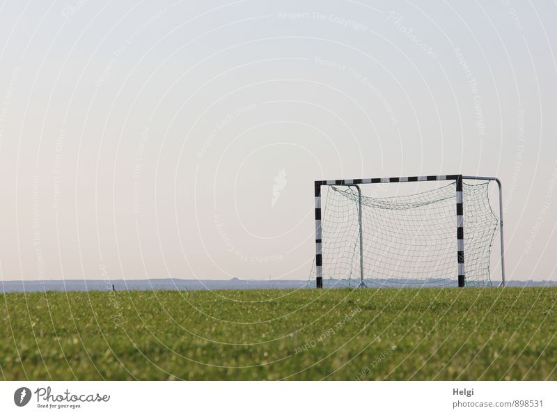 Geduld | ...bis zum Anpfiff Freizeit & Hobby Spielen Sommer Sport Ballsport Fußballtor Tor Fußballplatz Landschaft Gras stehen warten authentisch eckig blau