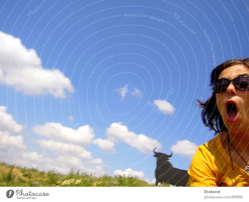 Running Himmel Feld Bulle Frau Wolken Field sky bull woman clouds to traverse fear glasses mouth um zu überqueren um sich Brille Mund zu fürchten