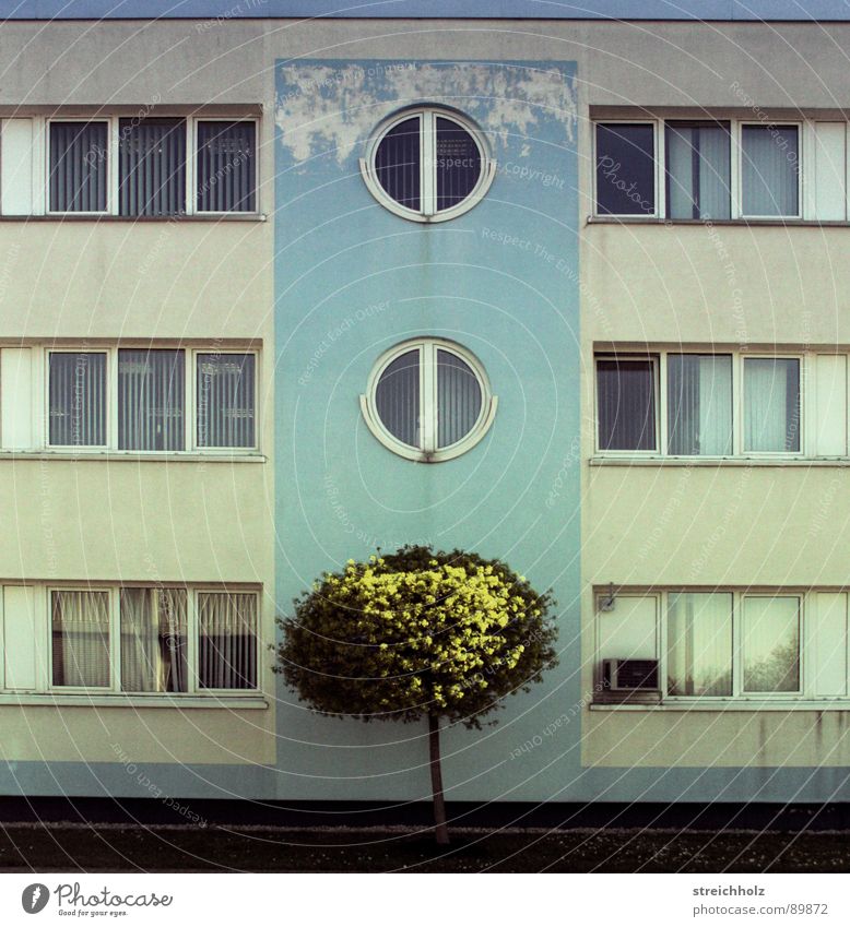 Design like yesterday Bürogebäude Baum Fenster veraltet Gebäude Haus Pflanze grün türkis Plattenbau Flachbau Ostalgie Ostzone armselig