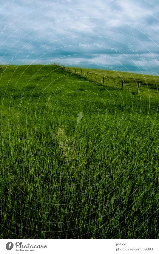 Oben sieht's düster aus ... aufwärts Bergwiese Wolken blau-grau Ferne Freizeit & Hobby Gras Unendlichkeit grün Grünfläche Halm Berghang Horizont Hügel