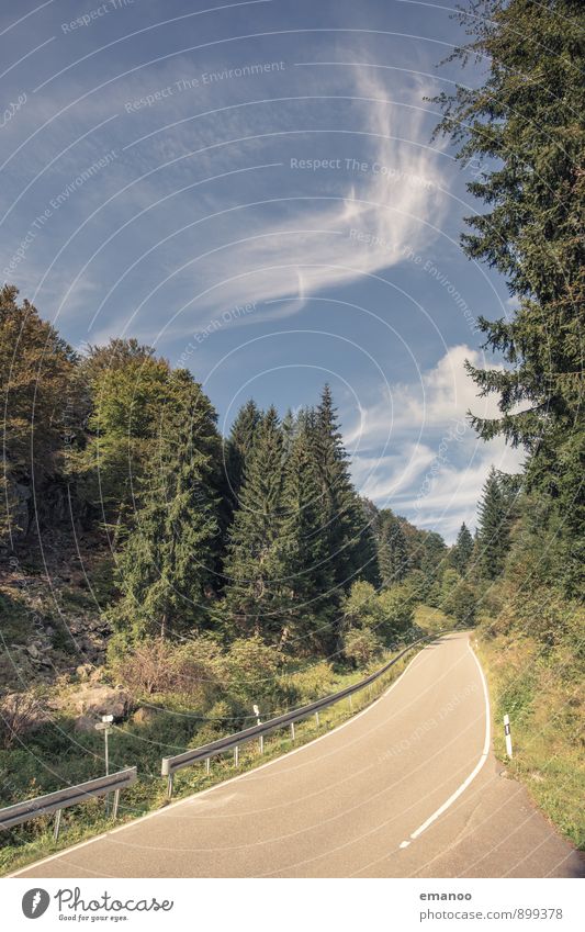 aufwärts Ferien & Urlaub & Reisen Tourismus Ausflug Berge u. Gebirge wandern Landschaft Himmel Sommer Wetter Schönes Wetter Baum Wald Schlucht Verkehr