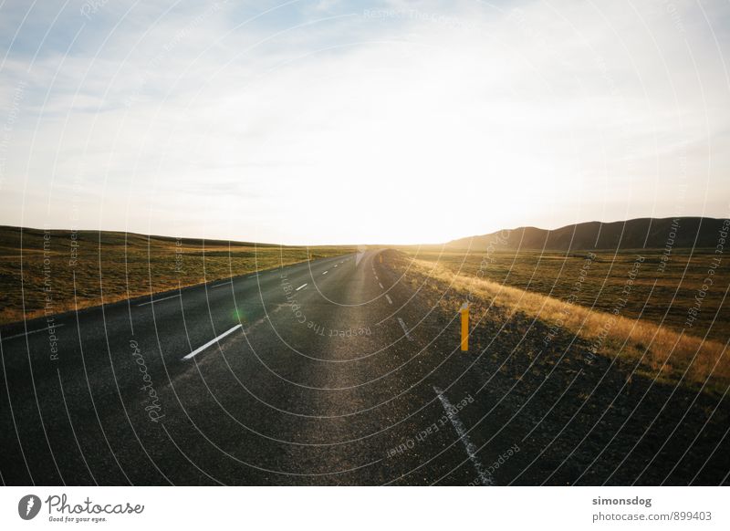 I'm in Iceland. Landschaft Horizont Herbst Gras Hügel Verkehrswege Straße Freiheit Idylle Ferien & Urlaub & Reisen fahren Asphalt Island Wärme geradeaus