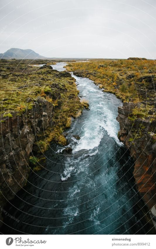 I'm in Iceland. Natur Landschaft Urelemente Wasser Wolken Sträucher Moos Hügel Felsen Bach Fluss Idylle Ferien & Urlaub & Reisen reißend Island tief Sauberkeit