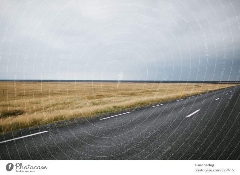 I'm in Iceland. Natur Landschaft Wolken Horizont schlechtes Wetter Gras Wiese Verkehrswege Straße Freiheit Ferien & Urlaub & Reisen Asphalt Island fahren