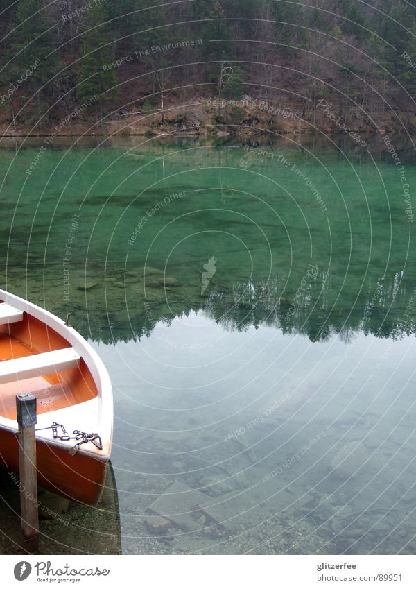 letzte chance... See Gebirgssee Allgäu Wasserfahrzeug Holz Baum Sträucher grün Smaragd ruhig Steg Reflexion & Spiegelung Fee Frieden Küste