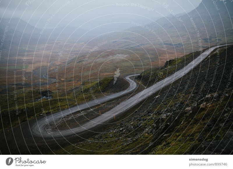 I'm in Iceland. Landschaft schlechtes Wetter Gras Sträucher Hügel Berge u. Gebirge Verkehr Verkehrswege Ferien & Urlaub & Reisen Abenteuer Straße Wege & Pfade