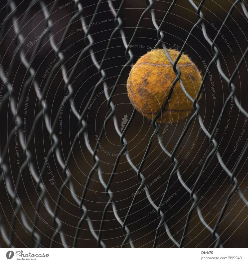 Das Spiel ist aus. Sport Ballsport Tennis Tennisball Sportstätten Tennisplatz Turin Sportplatz Zaun Drahtzaun Maschendraht Maschendrahtzaun Metall Kugel Netz