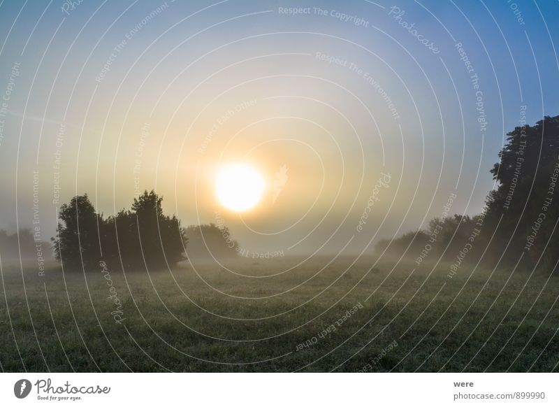 Morgennebel Umwelt Natur Landschaft Sonne Wetter Schönes Wetter Feld Vorfreude Farbfoto Außenaufnahme Menschenleer Sonnenaufgang Sonnenuntergang