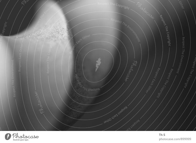 gedreht Metall bauen Bewegung drehen ästhetisch einfach elegant fest grau Design harmonisch schön abstrakt Röhren Schwarzweißfoto Außenaufnahme Detailaufnahme