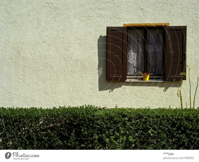 german vorgarten, baby! Hecke Vorgarten Spießer Ordnung Blumentopf Fenster Wand Fensterladen Gardine Wohnsiedlung Haus Nachkriegszeit Häusliches Leben