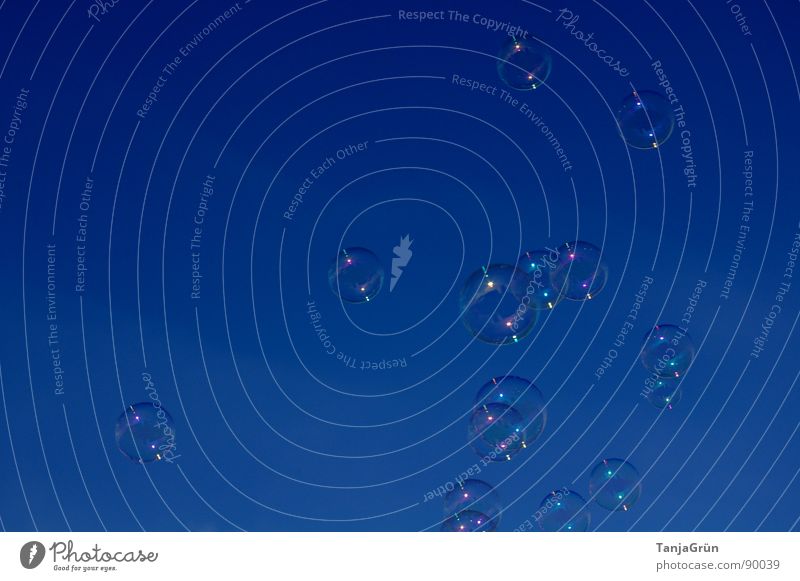 Seifenblasen Kindheitstraum träumen Blubbern Luft Wolken Spielzeug schimmern mehrfarbig glänzend weiß Kindheitserinnerung Erinnerung Schweben Freude Himmel