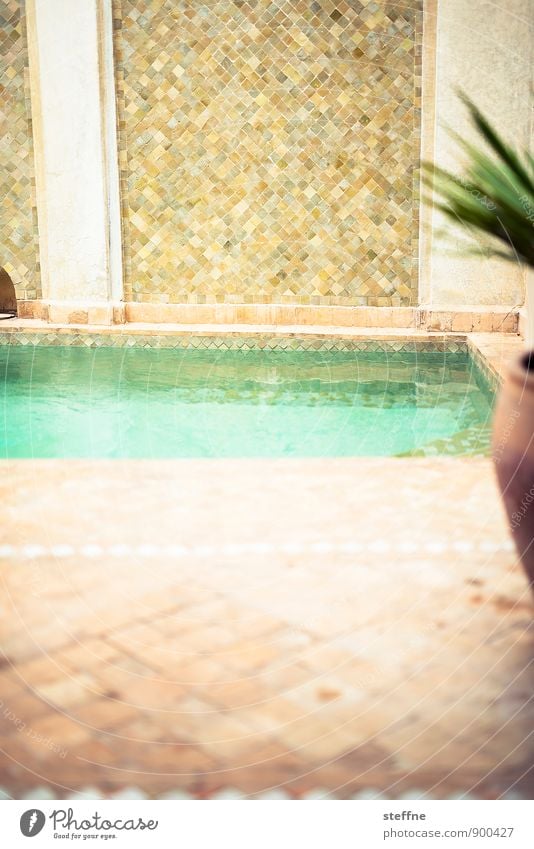 Abkühlung Wasser Sonne Sommer Schönes Wetter Wärme Marrakesch Marokko heiß Arabien Mosaik Schwimmbad Schwimmen & Baden kühlen nass Farbfoto Menschenleer