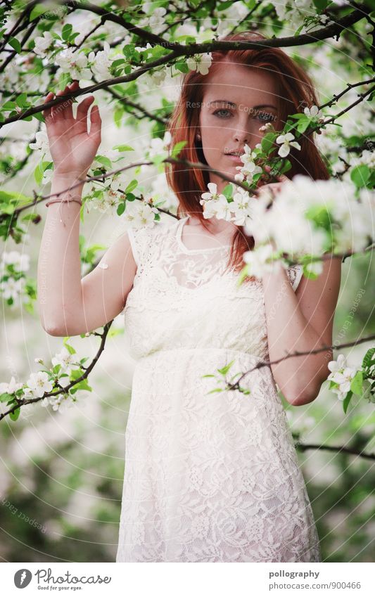 springtime II Mensch feminin Junge Frau Jugendliche Erwachsene Körper 1 18-30 Jahre Natur Landschaft Pflanze Frühling Sommer Schönes Wetter Baum Grünpflanze