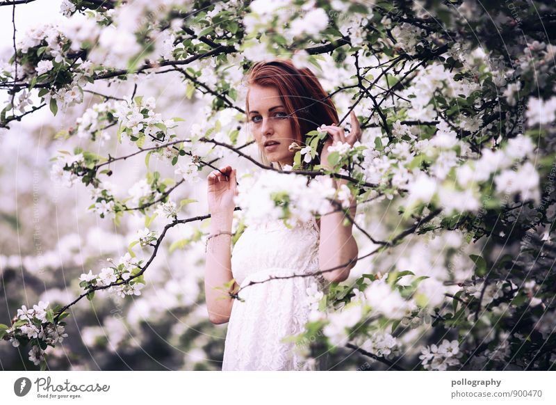 springtime III Mensch feminin Junge Frau Jugendliche Erwachsene Leben Körper 1 18-30 Jahre Natur Landschaft Pflanze Frühling Sommer Schönes Wetter Baum Blume