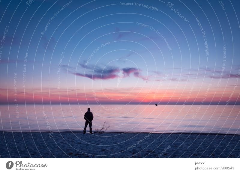 One Man Show maskulin Mann Erwachsene 1 Mensch Landschaft Wasser Himmel Horizont Schönes Wetter Küste Strand Meer beobachten stehen Farbfoto Außenaufnahme