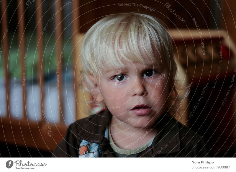 is was? Wohnung Kinderzimmer Kindererziehung Kindergarten Mensch Kleinkind Junge Kindheit Kopf Gesicht 1 1-3 Jahre blond Locken gitterbett beobachten Blick klug