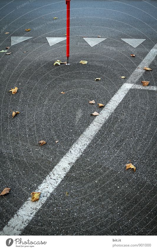 Jahresgezeiten-Marker... Straße Wege & Pfade Zeichen Schilder & Markierungen Verkehrszeichen Linie Pfeil Termin & Datum herbstlich Herbst Beton betoniert