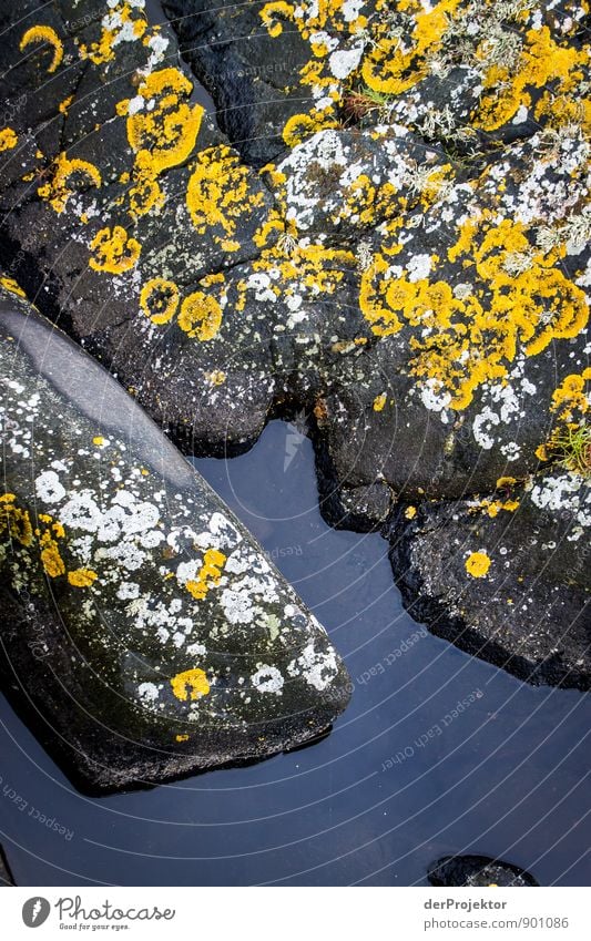 Miniaturfjord in den Schären Freizeit & Hobby Ferien & Urlaub & Reisen Tourismus Ausflug Sommerurlaub Umwelt Natur Landschaft Urelemente Erde Wasser Klima Hügel