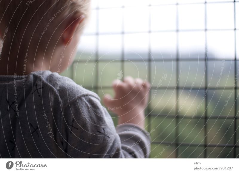 sehnsucht Mensch Kind Kleinkind Junge Kindheit Leben Ohr Rücken Hand 1 3-8 Jahre Pullover blond kurzhaarig beobachten Blick geduldig ruhig Neugier Interesse