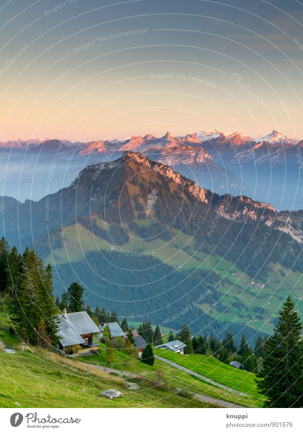 Rigi Scheidegg / Zentralschweiz Umwelt Natur Landschaft Feuer Himmel Horizont Sonne Sonnenaufgang Sonnenuntergang Sommer Herbst Klimawandel Schönes Wetter Wärme