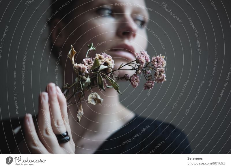 flowers Körper Haut Gesicht Mensch feminin Frau Erwachsene Hand Finger 1 Blume Blatt Blüte Ring träumen Traurigkeit Gefühle Stimmung Liebeskummer verblüht