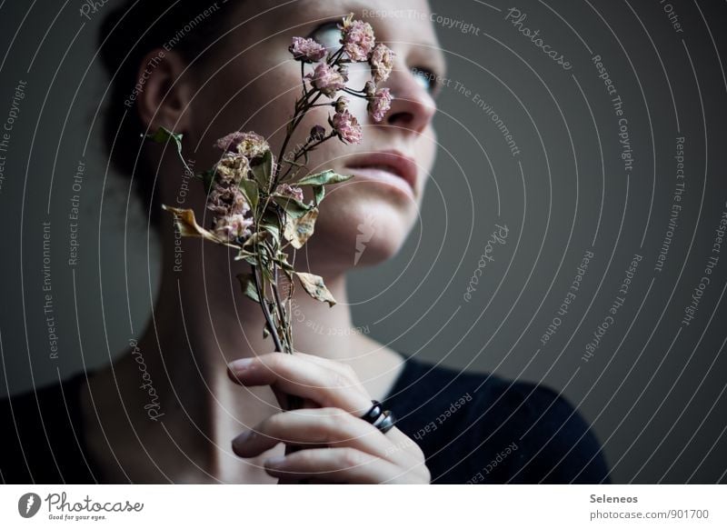 damals Mensch feminin Frau Erwachsene Gesicht Hand Finger 1 Pflanze Blume Blatt Blüte Wildpflanze berühren verblüht dehydrieren natürlich Gefühle Stimmung