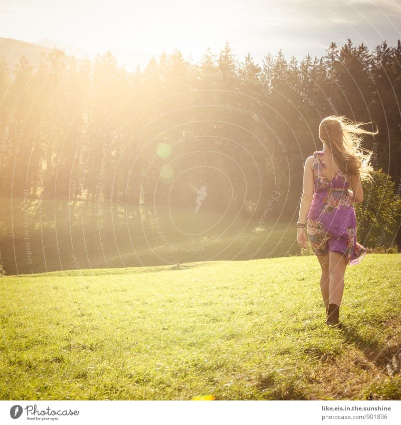 Hey Herbst. feminin schön Kleid Frau Wiese herbstlicht Spaziergang Farbfoto