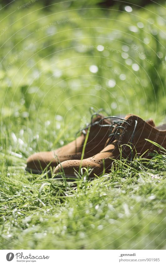 Erholungsgebiet Schuhe grün Wiese braun Bekleidung Pause Barfuß Seelenverwandtschaft Außenaufnahme Farbfoto Menschenleer Textfreiraum oben Textfreiraum unten