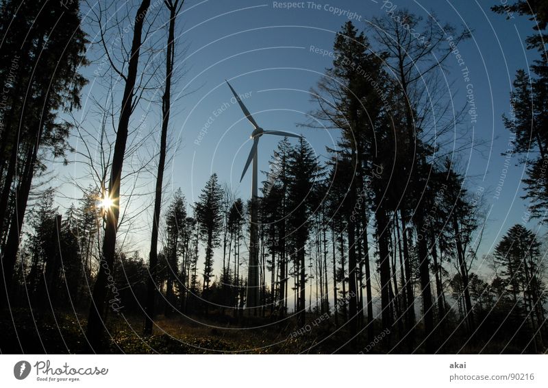 Windkraft am Roßkopf 2 Himmel Nadelbaum Wald himmelblau Geometrie Laubbaum Perspektive Nadelwald Waldwiese Paradies Waldlichtung Windkraftanlage Elektrizität