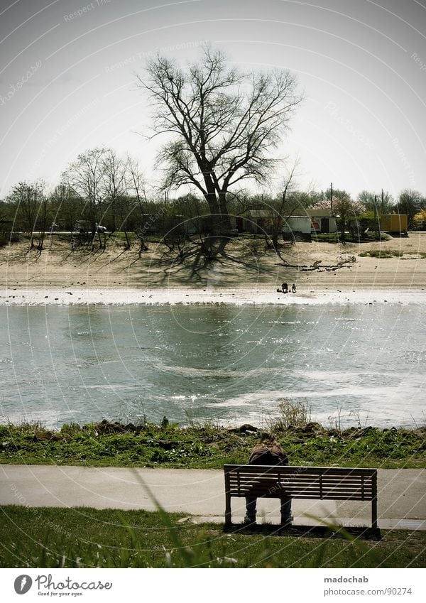 VOM ANDEREN UFER Gras grün Wiese Park Natur Parkbank Mensch Mann Erholung Sommer Halm Blume falsch Pause stagnierend Ferien & Urlaub & Reisen Freizeit & Hobby