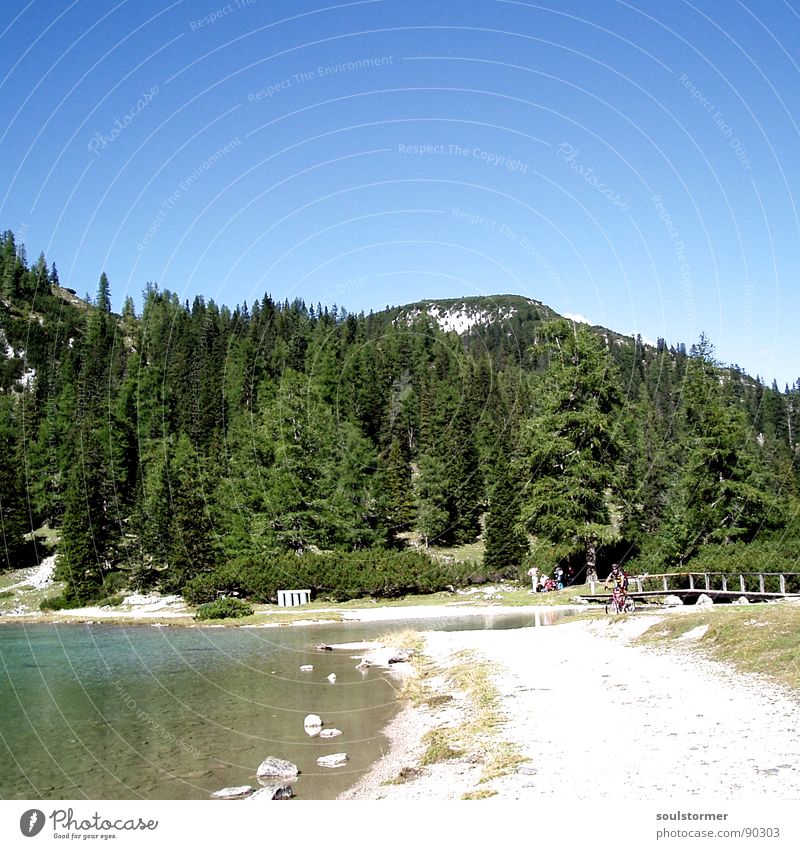 Auf die Berge, fertig, los! Hügel Berghang Baum Tanne grün dunkelgrün Holz Teich See Gebirgssee türkis Strand Wiese Pause ruhig anstrengen Stress Bergsteigen