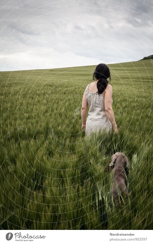 Frühsommer Lifestyle Freude Leben harmonisch Erholung ruhig Ferien & Urlaub & Reisen wandern Landwirtschaft Forstwirtschaft Mensch feminin Junge Frau