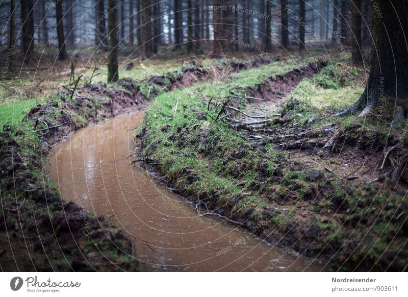 Die Kurve gekriegt.... Landwirtschaft Forstwirtschaft Umwelt Natur Erde Wasser Klima Wetter schlechtes Wetter Unwetter Regen Baum Wald Verkehrswege Wege & Pfade