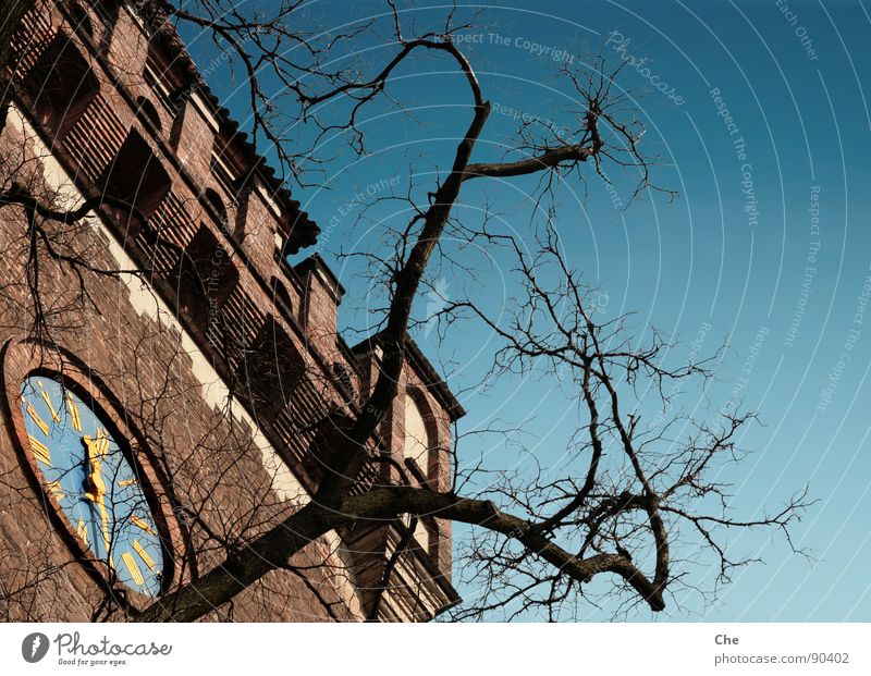 Halb Zwölf Cottbus Wasserturm Uhr Turmuhr Hälfte 12 schwarz Baum Zinnen Mauer Backstein Rom Ziffern & Zahlen Sommer Zeit zeitlos Herbst spät kurz Wahrzeichen