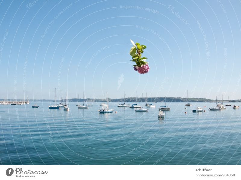 In Gedanken gedenken Wolkenloser Himmel Schönes Wetter Küste Meer Schifffahrt Fischerboot Sportboot Jacht Motorboot Segelboot Hafen Jachthafen blau Mitgefühl