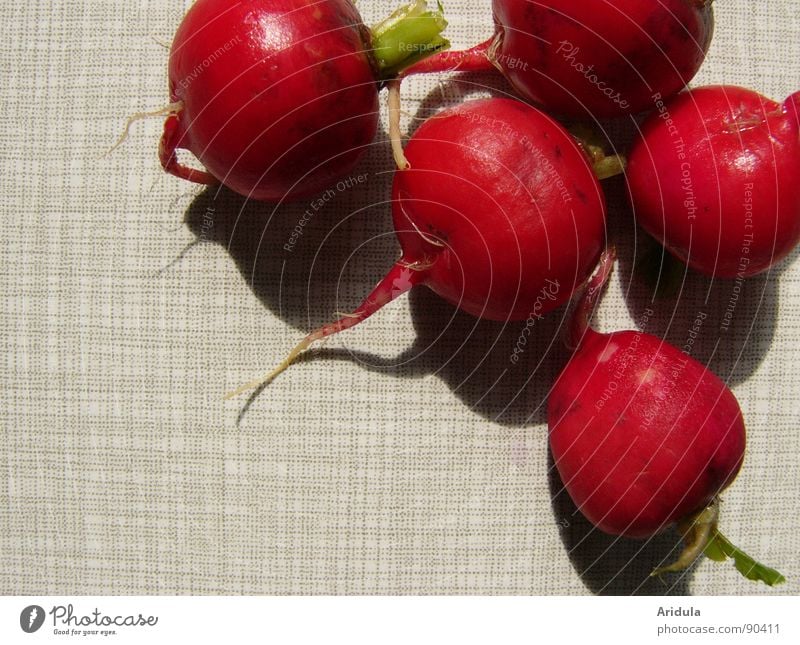 radischen No.4 rot rund grün Gesundheit Tisch Küche Gemüse Vegetarische Ernährung Schatten Wurzel