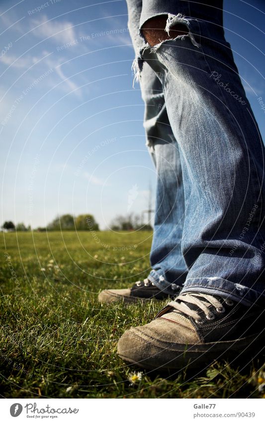 bodenständig Schuhe Chucks kaputt Wiese standhaft stehen Horizont Sommer Fuß Jeanshose frei Perspektive