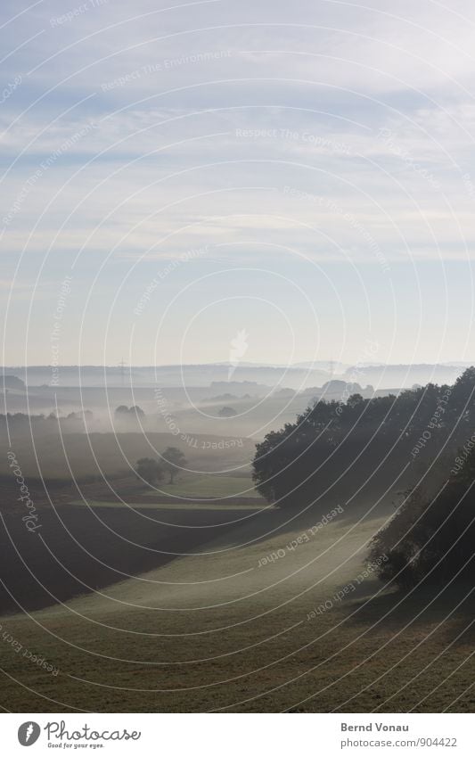 Zweimaster Umwelt Natur Landschaft Pflanze Himmel Wolken Sonne Herbst Wetter Schönes Wetter Baum Gras Sträucher Grünpflanze Wiese Feld Hügel genießen Blick grün