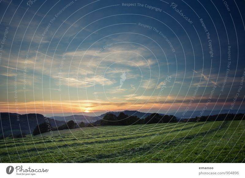 Feldlinien Ferien & Urlaub & Reisen Tourismus Ferne Freiheit Sommer Sonne Berge u. Gebirge wandern Umwelt Natur Landschaft Pflanze Himmel Horizont Klima Wetter