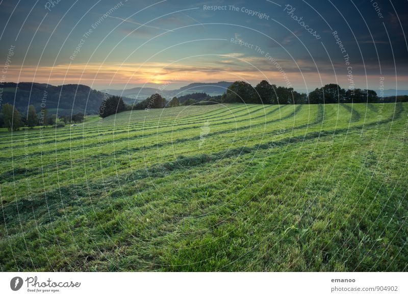 landscape lines Ferien & Urlaub & Reisen Ausflug Ferne Freiheit Berge u. Gebirge wandern Natur Landschaft Himmel Horizont Herbst Klima Wetter Pflanze Gras Wiese