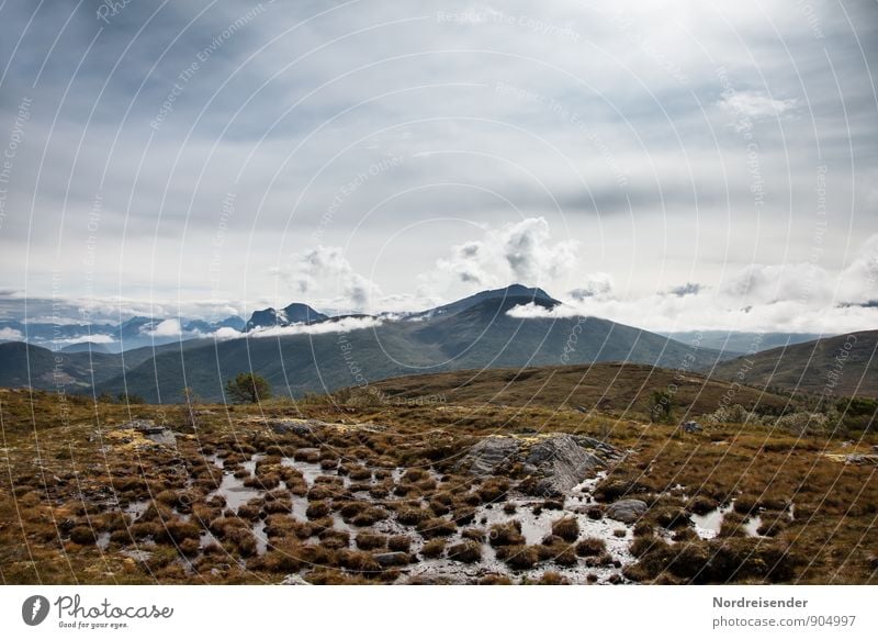 Hochmoor Ferien & Urlaub & Reisen Abenteuer Ferne Freiheit Berge u. Gebirge wandern Natur Landschaft Urelemente Himmel Wolken Klima Gipfel Moor Sumpf Fernweh