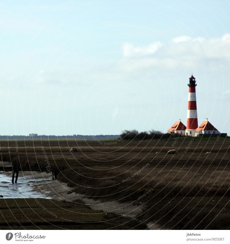 80 / Westerh(J)ever Leuchtturm Umwelt Natur Landschaft Pflanze Tier Urelemente Wasser Herbst Küste Westerhever Leuchtturm Deutschland Europa Denkmal Nutztier