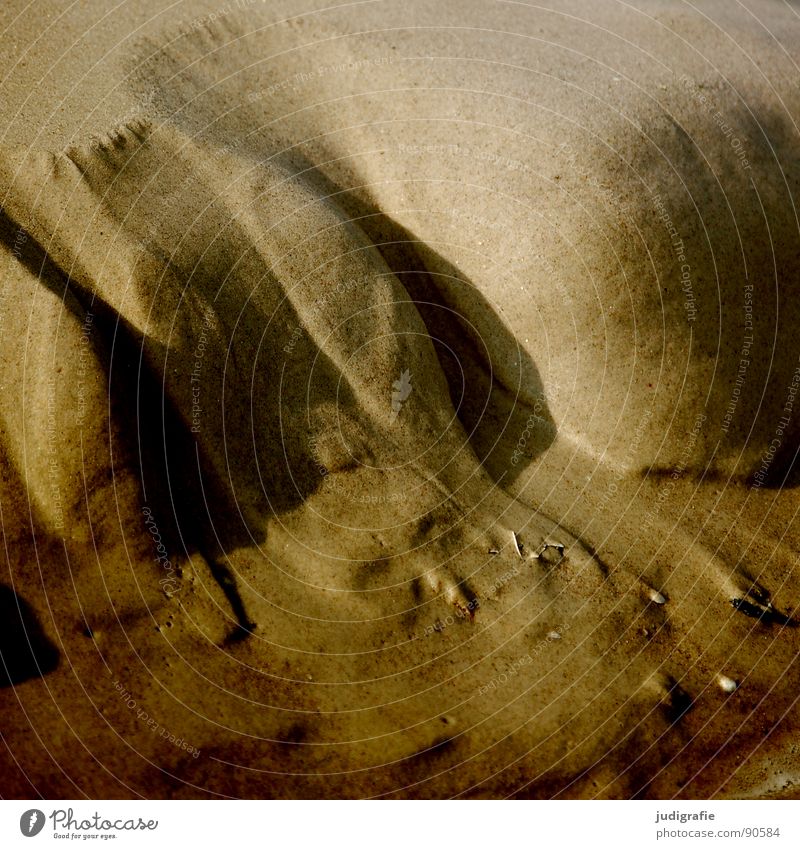 Strandlandschaft spülen Meer fließen fein Vergänglichkeit Küste Sand Wasser ausgespült Ostsee Berge u. Gebirge Tal berg und tal Fluss Strukturen & Formen