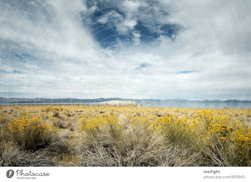 mono lake Umwelt Natur Landschaft Himmel Wolken Klima Klimawandel Wetter Park See Wüste Unendlichkeit blau gelb Einsamkeit einzigartig Umweltverschmutzung