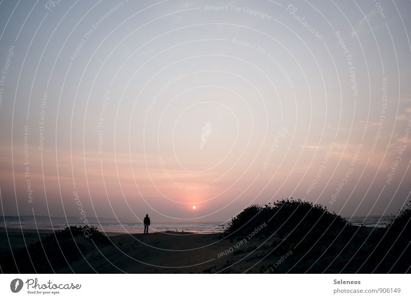 Guten Morgen Ferien & Urlaub & Reisen Tourismus Ausflug Abenteuer Ferne Freiheit Sonne Strand Meer Wellen Mensch 1 Umwelt Natur Landschaft Himmel Horizont Klima