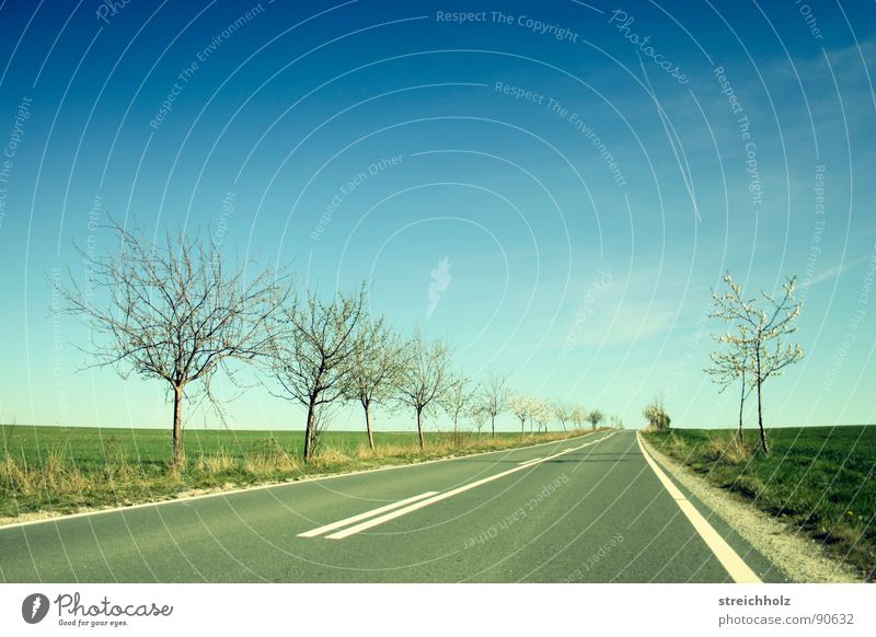 Straße Landstraße Baum Feld Landweg Ferne mehrfarbig Wiese Asphalt Optimismus Verkehrswege Himmel Betong Landschaft Amerika auf dem Land