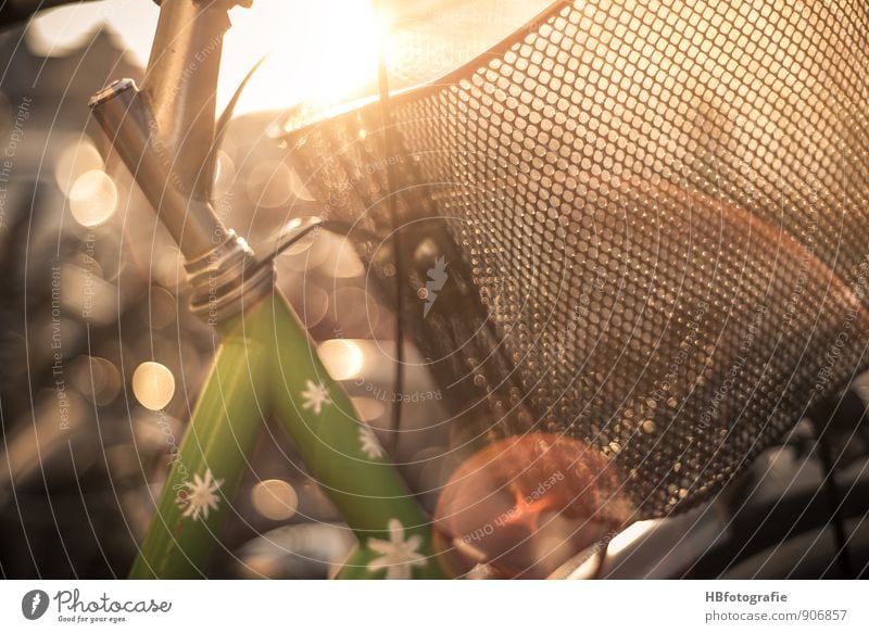 Sommer-feeling Freizeit & Hobby Fahrradfahren Fahrradtour Sommerurlaub Sonne Fahrzeug Einkaufskorb Sommerferien Sommerlaune Warmherzigkeit Sehnsucht träumen