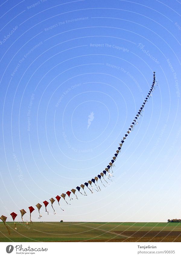 Drachenkette Lenkdrachen Kette Wind Sommer mehrfarbig Freude fliegen Himmel blau grün schimmern Farbe Feld Wiese Drachenfest laufen Spielen steigen Trick Herbst