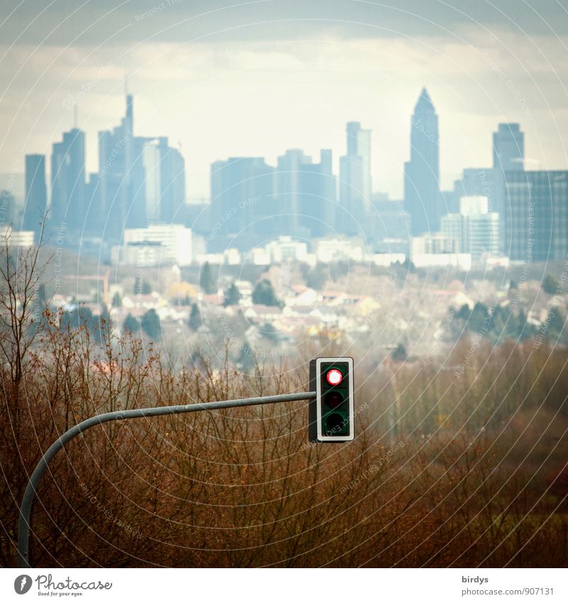 Drohende Fahrverbote Frühling Herbst Baum Frankfurt am Main Deutschland Europa Skyline Bankgebäude Hochhaus Verkehr Autofahren Ampel ästhetisch außergewöhnlich